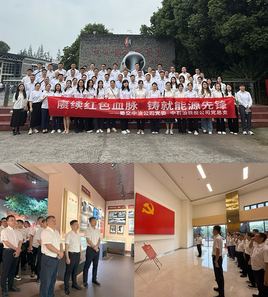 主题党日活动照片900贝.jpg